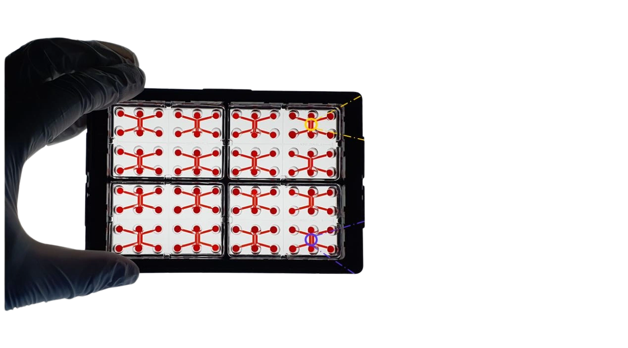Axonlab Life Science - Blog