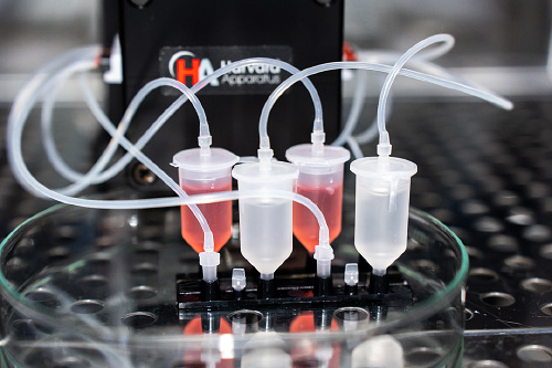 DynamicOrgan TEER-Sensor Kit